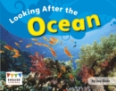 Looking After the Ocean - eBook