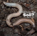 What's in the Soil? - Book