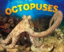 Octopuses - eBook