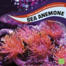 Sea Anemones - eBook