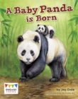 A Baby Panda is Born - Book