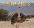 Ostriches - Book