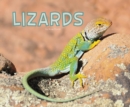 Lizards - eBook