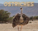 Ostriches - eBook
