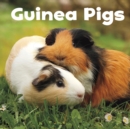 Guinea Pigs - eBook