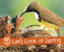 Let's Look at Spring - Book