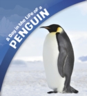 A Day in the Life of a Penguin - Book