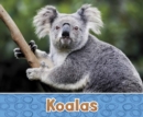 Koalas - eBook