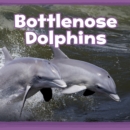 Bottlenose Dolphins - Book