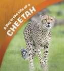 A Day in the Life of a Cheetah - eBook