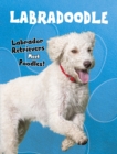 Labradoodle : Labrador Retrievers Meet Poodles! - Book