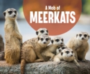 A Mob of Meerkats - eBook