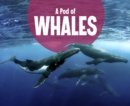 A Pod of Whales - eBook