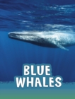 Blue Whales - eBook