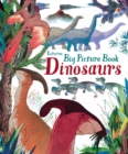 Big Picture Book Dinosaurs - Book