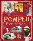 Pompeii Picture Book - Book