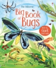 Big Book of Bugs - Book