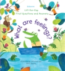 First Questions and Answers: What are Feelings? - Book