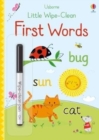 Little Wipe-Clean First Words - Book