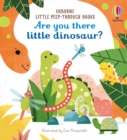 Are You There Little Dinosaur? - Book