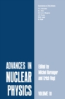 Advances in Nuclear Physics : Volume 10 - eBook