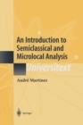 An Introduction to Semiclassical and Microlocal Analysis - eBook