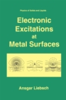 Electronic Excitations at Metal Surfaces - eBook