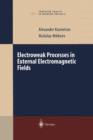 Electroweak Processes in External Electromagnetic Fields - Book