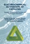 Electrochemical Activation of Catalysis : Promotion, Electrochemical Promotion, and Metal-Support Interactions - Book