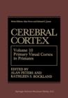 Cerebral Cortex : Volume 10 Primary Visual Cortex in Primates - Book