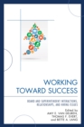 Working Toward Success : Board and Superintendent Interactions, Relationships, and Hiring Issues - Book