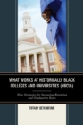 What Works at Historically Black Colleges and Universities (HBCUs) : Nine Strategies for Increasing Retention and Graduation Rates - Book