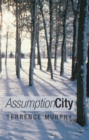 Assumption City - eBook
