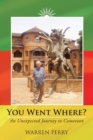 You Went Where? : An Unexpected Journey to Cameroon - eBook