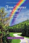 From Disgrace to Grace : Honoring the Word of God - Book