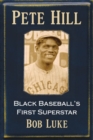 Pete Hill : Black Baseball's First Superstar - Book