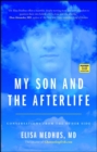 My Son and the Afterlife : Conversations from the Other Side - eBook