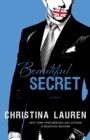 Beautiful Secret - eBook
