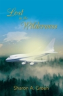 Lost in the Wilderness - eBook