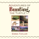 Adventures of Bunting, the Turtle - eBook