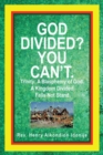 God Divided? You Can't. : Trinity: a Blasphemy of God. a Kingdom Divided, Falls Not Stand. - eBook