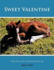 Sweet Valentine - Book