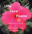 Little Love Poems - eBook