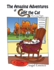 The Amazing Adventures of Callie the Cat : The Long Night - eBook