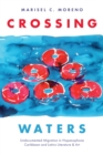 Crossing Waters : Undocumented Migration in Hispanophone Caribbean and Latinx Literature & Art - eBook
