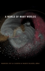 A World of Many Worlds - Book