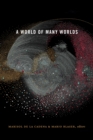 A World of Many Worlds - Book