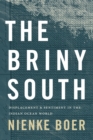 The Briny South : Displacement and Sentiment in the Indian Ocean World - eBook