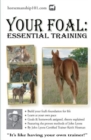 Your Foal : Essential Training - Book