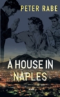 A House in Naples - Book